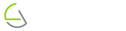 T-NES